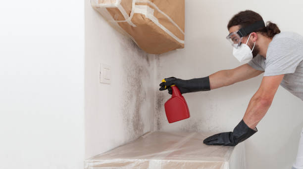 Attic Mold Remediation treatment on roof deck in Marshall