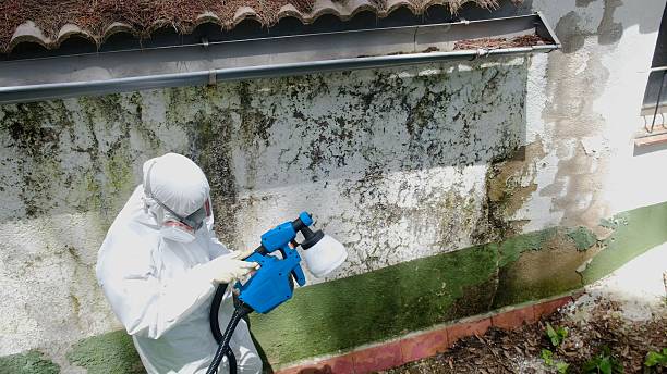 Mold Removal service in Marshall